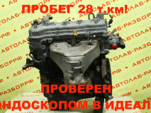 Двигатель QG15DE Nissan Sunny FB15 101028N250, 101024M550